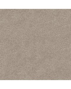 Shaw HOT TOPIC Bare Mineral Carpet - SH-5E880-00105