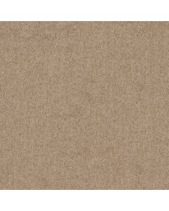 Shaw HOT TOPIC Tassel Carpet - SH-5E880-00107