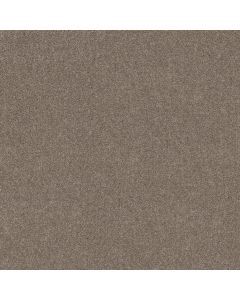 Shaw HOT TOPIC Quiet Tan Carpet - SH-5E880-00112