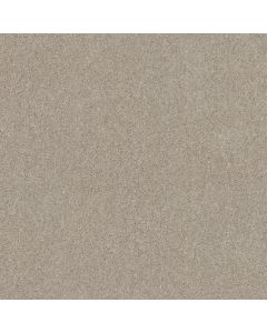 Shaw HOT TOPIC Sugar Cookie Carpet - SH-5E880-00122