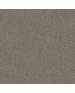 Shaw HOT TOPIC Winter Birch Carpet - SH-5E880-00510