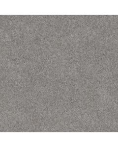 Shaw HOT TOPIC Dolphin Carpet - SH-5E880-00521