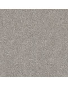 Shaw HOT TOPIC Silver Mist Carpet - SH-5E880-00540