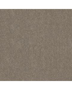 Shaw HOT TOPIC Studio Loft Carpet - SH-5E880-00722
