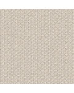 Shaw COZY EMBRACE Ivory Carpet - SH-5E881-00100