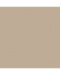 Shaw COZY EMBRACE Muslin Carpet - SH-5E881-00103