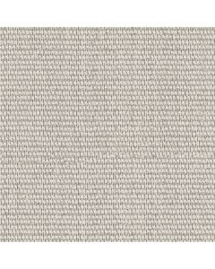 Shaw COZY EMBRACE Creamy Carpet - SH-5E881-00106