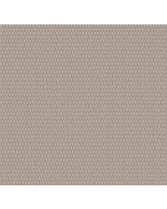 Shaw COZY EMBRACE Blissful Beige Carpet - SH-5E881-00109