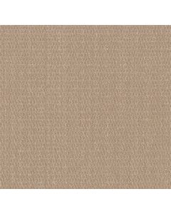 Shaw COZY EMBRACE Sun Bleached Carpet - SH-5E881-00110