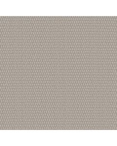 Shaw COZY EMBRACE Platinum Carpet - SH-5E881-00502