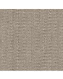 Shaw COZY EMBRACE Warm Taupe Carpet - SH-5E881-00505