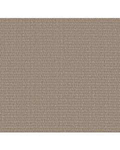 Shaw COZY EMBRACE Rattan Carpet - SH-5E881-00704