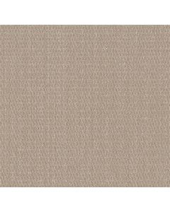 Shaw COZY EMBRACE Natural Sisal Carpet - SH-5E881-00705