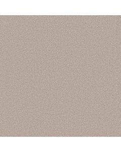 Shaw BLENDED TOUCH I Venetian Plaster Carpet - SH-5E885-00132