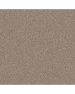 Shaw BLENDED TOUCH I Wool Blend Carpet - SH-5E885-00133