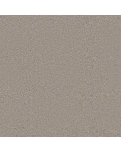 Shaw BLENDED TOUCH I Fusion Carpet - SH-5E885-00135
