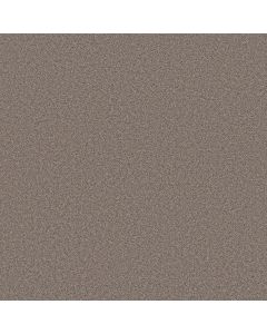 Shaw BLENDED TOUCH I Newstar Carpet - SH-5E885-00230
