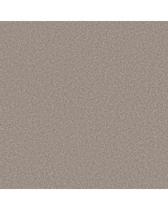 Shaw BLENDED TOUCH I Pebble Stone Carpet - SH-5E885-00730