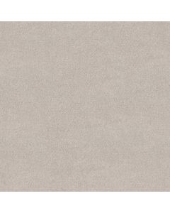 Shaw BLENDED TOUCH II Crystals Carpet - SH-5E886-00131