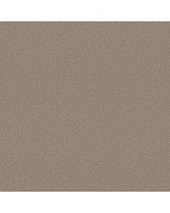 Shaw BLENDED TOUCH II Wool Blend Carpet - SH-5E886-00133