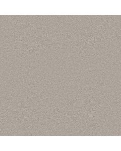 Shaw BLENDED TOUCH II Raw Silk Carpet - SH-5E886-00134