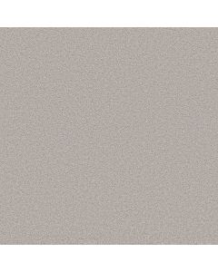 Shaw BLENDED TOUCH II Marble Carpet - SH-5E886-00530