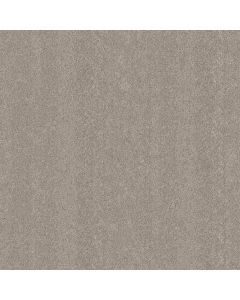Shaw BLENDED TOUCH II Pebble Stone Carpet - SH-5E886-00730