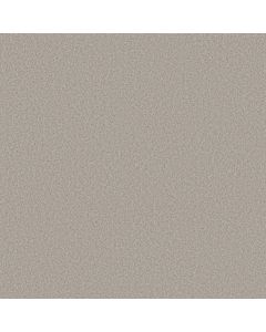 Shaw WONDERLAND II Antiquity Carpet - SH-5E887-00132
