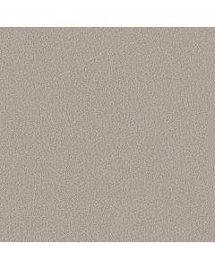 Shaw WONDERLAND II Silence Carpet - SH-5E887-00137