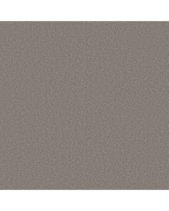 Shaw WONDERLAND II Pier Carpet - SH-5E887-00731