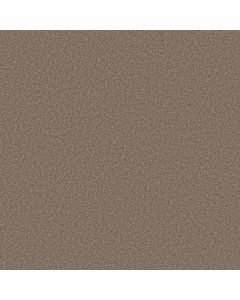 Shaw WONDERLAND II Slate Carpet - SH-5E887-00732