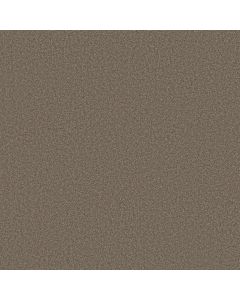 Shaw WONDERLAND II Smoked Tan Carpet - SH-5E887-00733