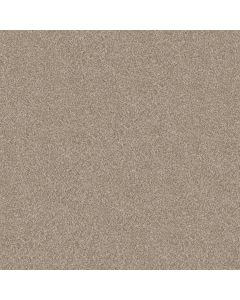 Shaw REFINED BEAUTY Soft Sand Carpet - SH-5E888-00106
