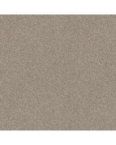 Shaw REFINED BEAUTY Mushroom Carpet - SH-5E888-00108