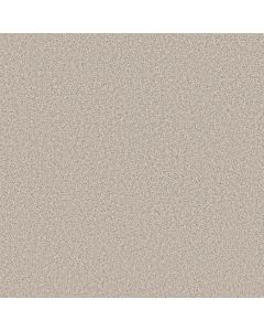 Shaw REFINED BEAUTY Nuance Carpet - SH-5E888-00111
