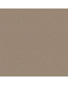 Shaw REFINED BEAUTY Summer Straw Carpet - SH-5E888-00200
