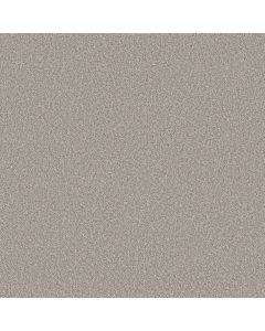 Shaw REFINED BEAUTY Silver Mist Carpet - SH-5E888-00510