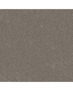 Shaw REFINED BEAUTY Coffee Carpet - SH-5E888-00701