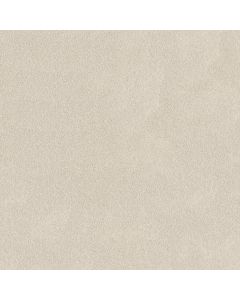 Shaw PURE AFFECTION S Crisp Linen Carpet - SH-5E889-00100