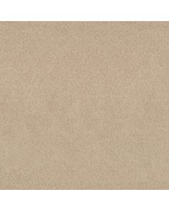 Shaw PURE AFFECTION S Hourglass Carpet - SH-5E889-00102