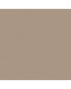 Shaw PURE AFFECTION S Loft Carpet - SH-5E889-00103