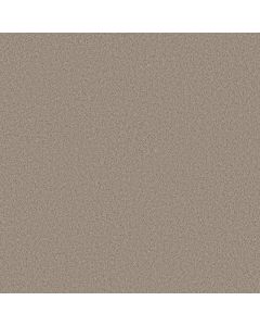 Shaw PURE AFFECTION S On The Edge Carpet - SH-5E889-00104