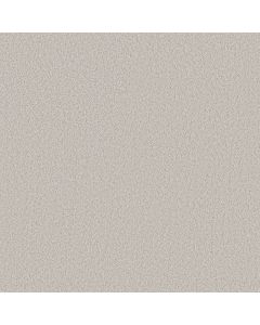 Shaw PURE AFFECTION S Light Year Carpet - SH-5E889-00500