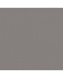 Shaw PURE AFFECTION S Winter Carpet - SH-5E889-00502