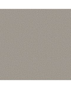 Shaw PURE AFFECTION S Still Gray Carpet - SH-5E889-00503