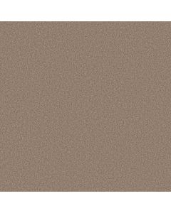 Shaw PURE AFFECTION S Sierra Carpet - SH-5E889-00700