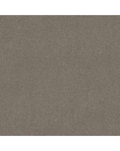 Shaw PURE AFFECTION S Pier Carpet - SH-5E889-00702