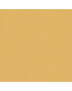 Shaw THE BRIGHT SIDE Sunny Side Up Carpet - SH-5E894-00205