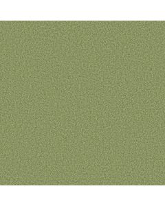 Shaw THE BRIGHT SIDE Four Leaf Clover Carpet - SH-5E894-00335