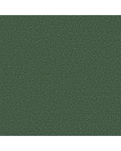 Shaw THE BRIGHT SIDE Fuzzy Feeling Carpet - SH-5E894-00375